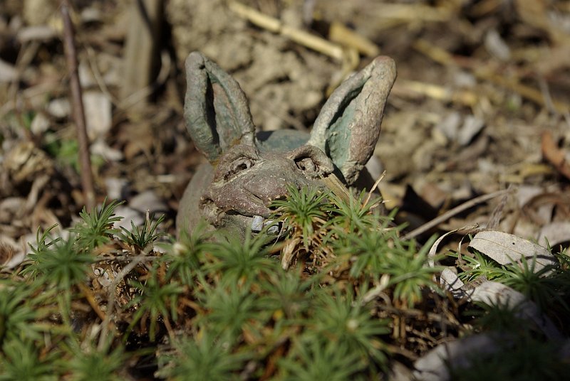 lapin-mechant