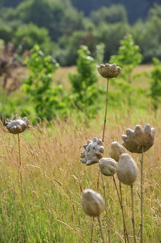 kuerbis trocken