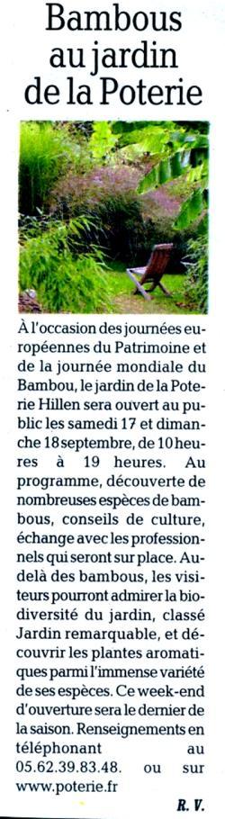 bambous au jardin de la poterie hillen