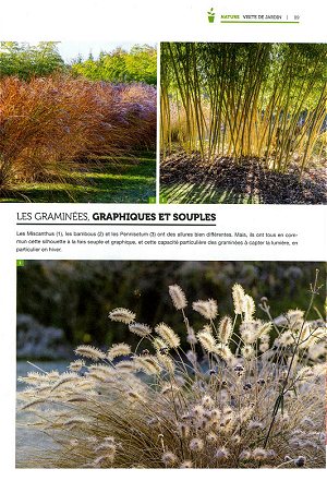 Entre voisin - Mr.Bricolage - reportage du Jardin Hillen 2018