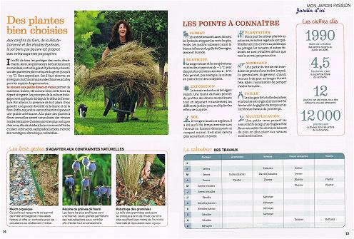 rustica aot 2014 - Les Jardins de la Poterie Hillen - www.poterie.fr  - http://les-jardins-de-la-poterie-hillen.blogspot.com