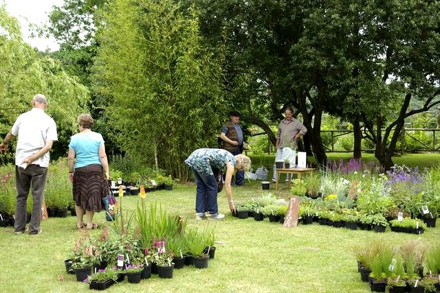 Les Rendez-vous aux jardins 2008 de la poterie Hillen