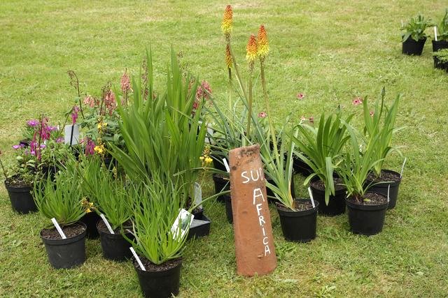 Les Rendez-vous aux jardins 2008 de la poterie Hillen