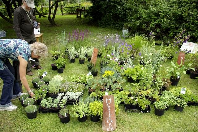 Les Rendez-vous aux jardins 2008 de la poterie Hillen